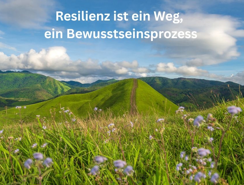Resilienz